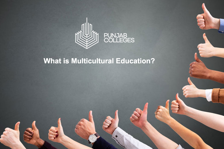 Multicultural Education: Principles, Practices, and Impact