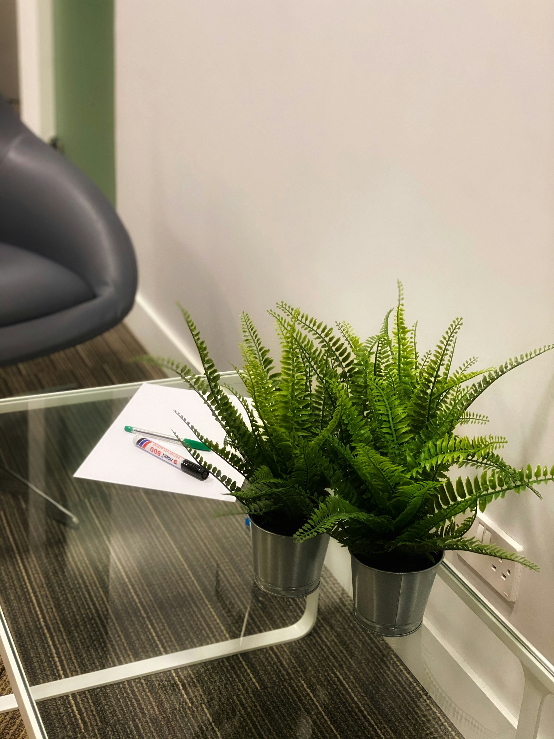 Transform Your Workspace: The Ultimate Guide to Low-Maintenance Succulents for Office Desks