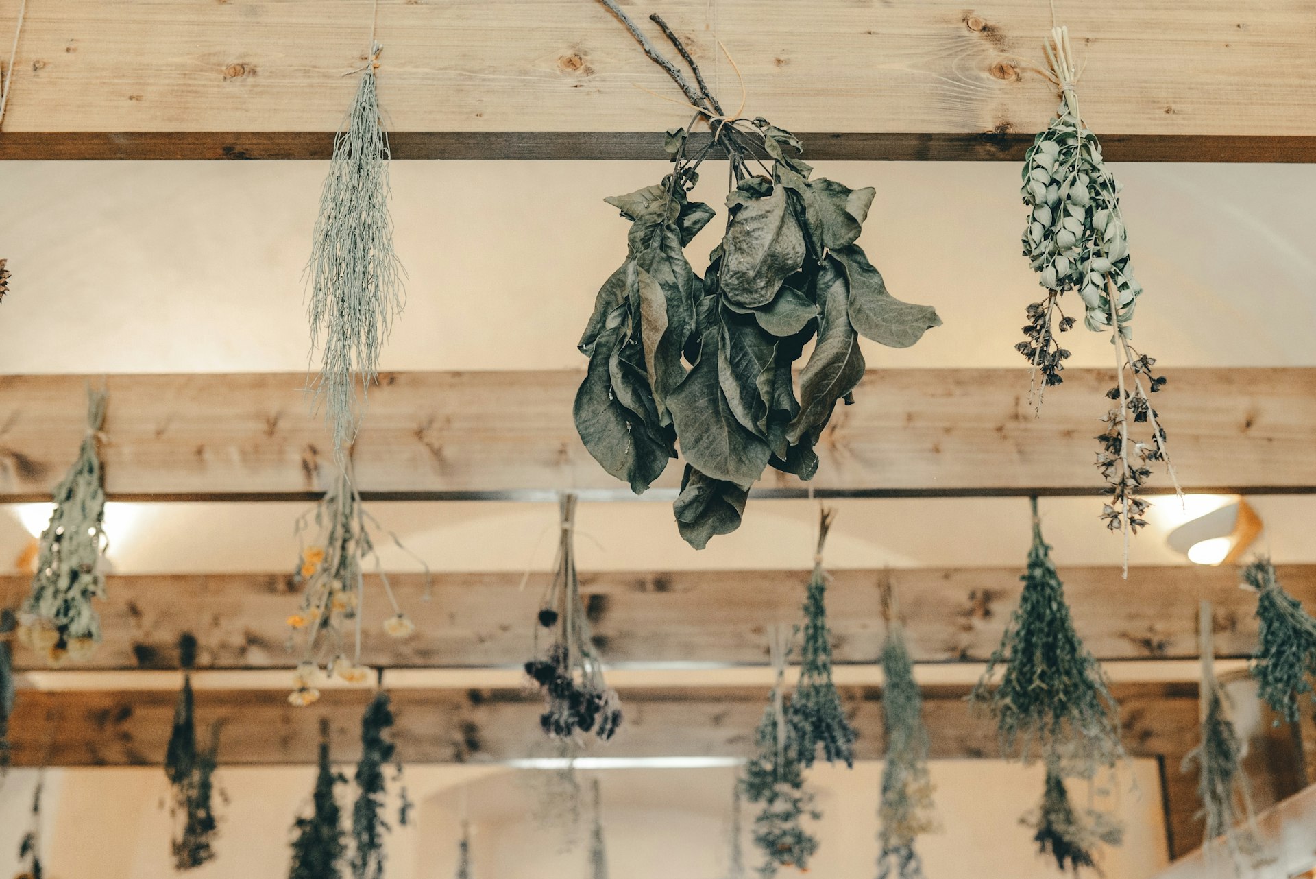 Step-by-Step Guide: Build Your Own Aromatic Herb Drying Rack at Home