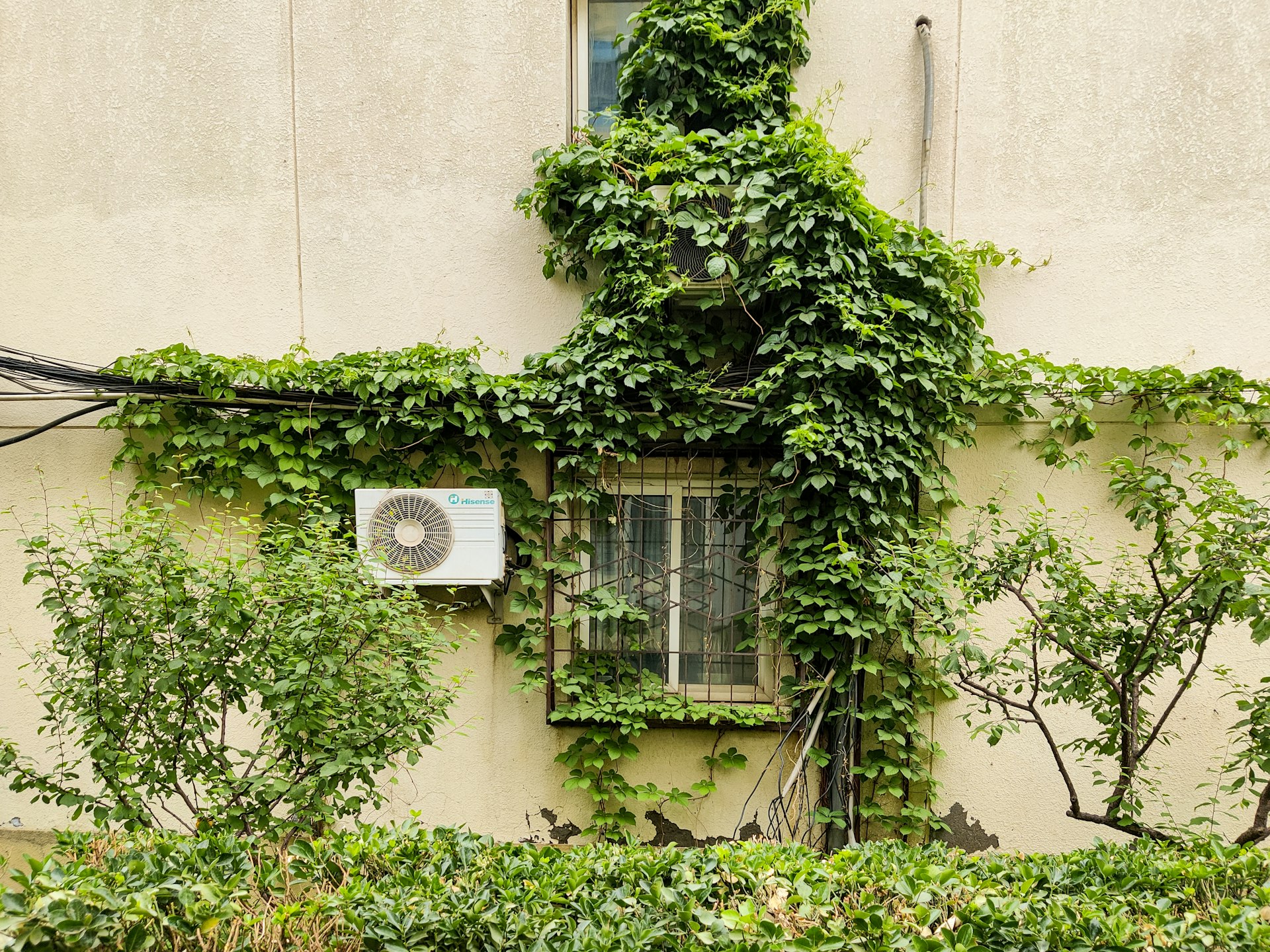 Eco-Friendly Home Organization Hacks for a Greener, Clutter-Free Space