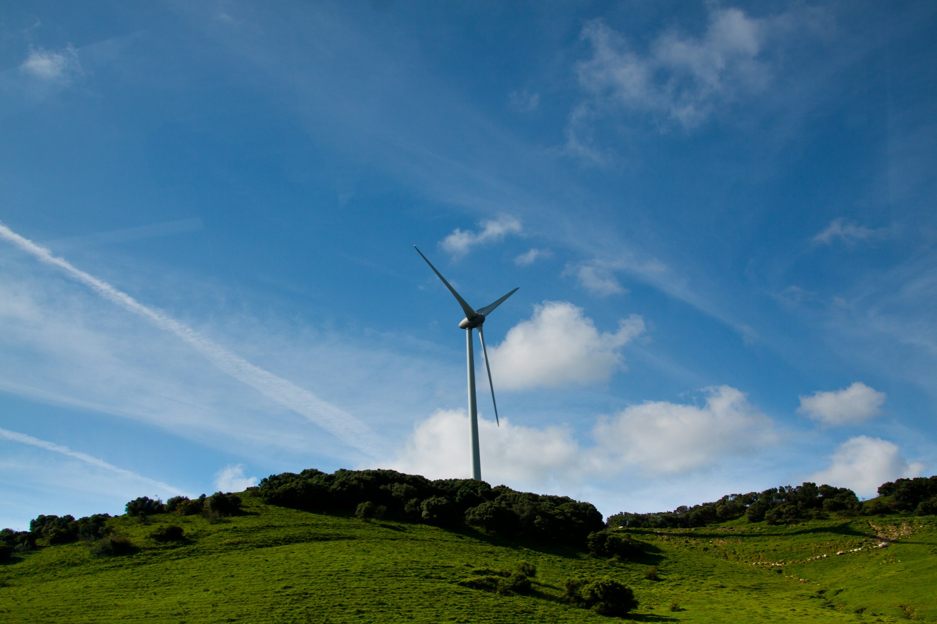 How IoT is Transforming Sustainable Energy Management: Unlocking Efficiency, Insight, and Resilience